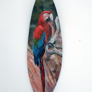 arara
