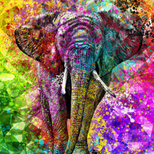 Tela Decorativa “Elefante” | Fine Art em Canvas | 60 × 80 cm