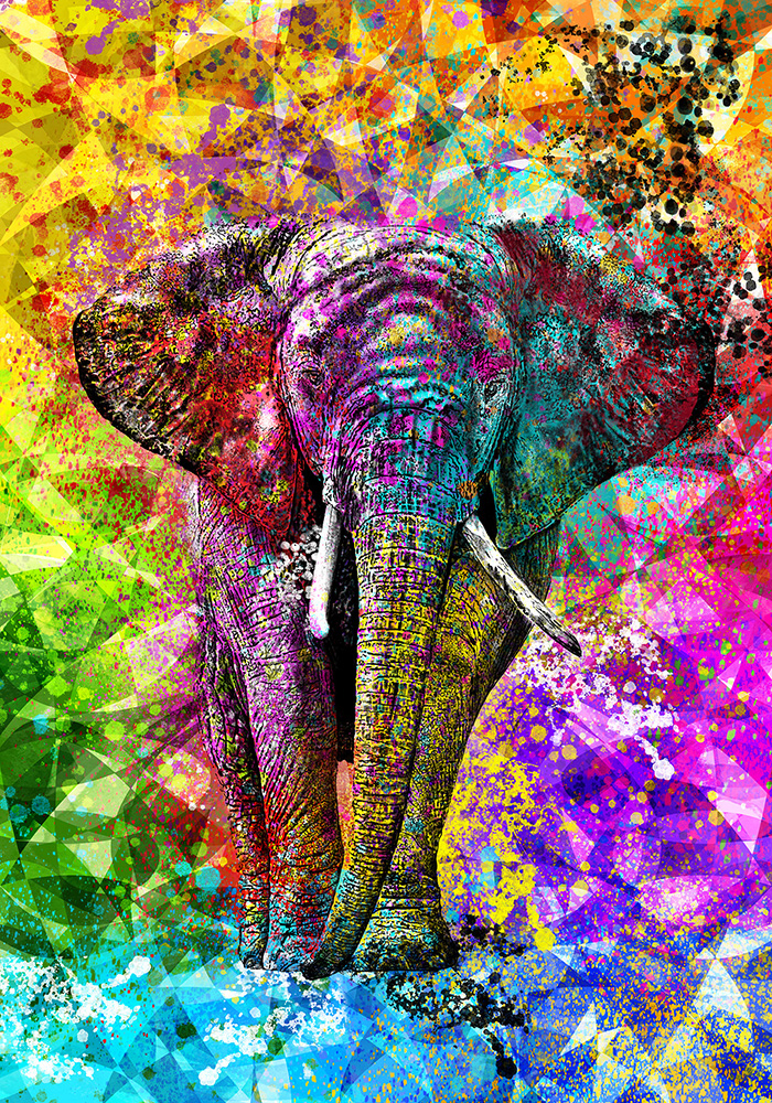 Tela Decorativa “Elefante” | Fine Art em Canvas | 60 × 80 cm