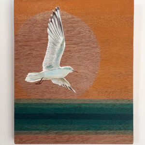 Gaivota | Pintura sobre madeira | 28 x 24 x 2 cm