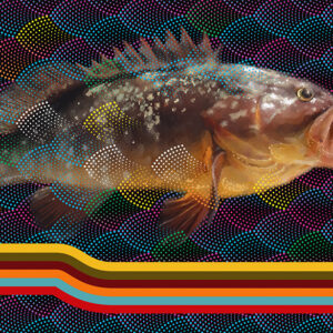 Tela Decorativa “Garoupa” | Fine Art em Canvas