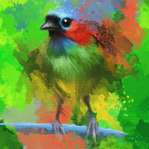 Tela Decorativa “Saíra de Lenço” | Fine Art em Canvas | 60 × 80 cm