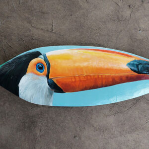 tucano (1)