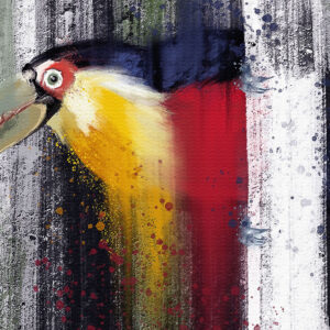 Tela Decorativa “Tucano” | Fine Art em Canvas | 80 × 60 cm
