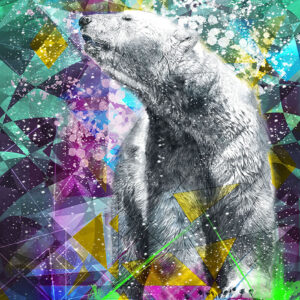 Tela Decorativa “Urso Polar” | Fine Art em Canvas | 60 × 80 cm