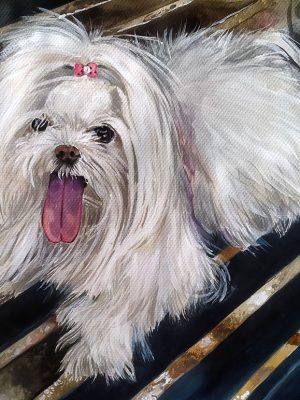aquarela_pet_05